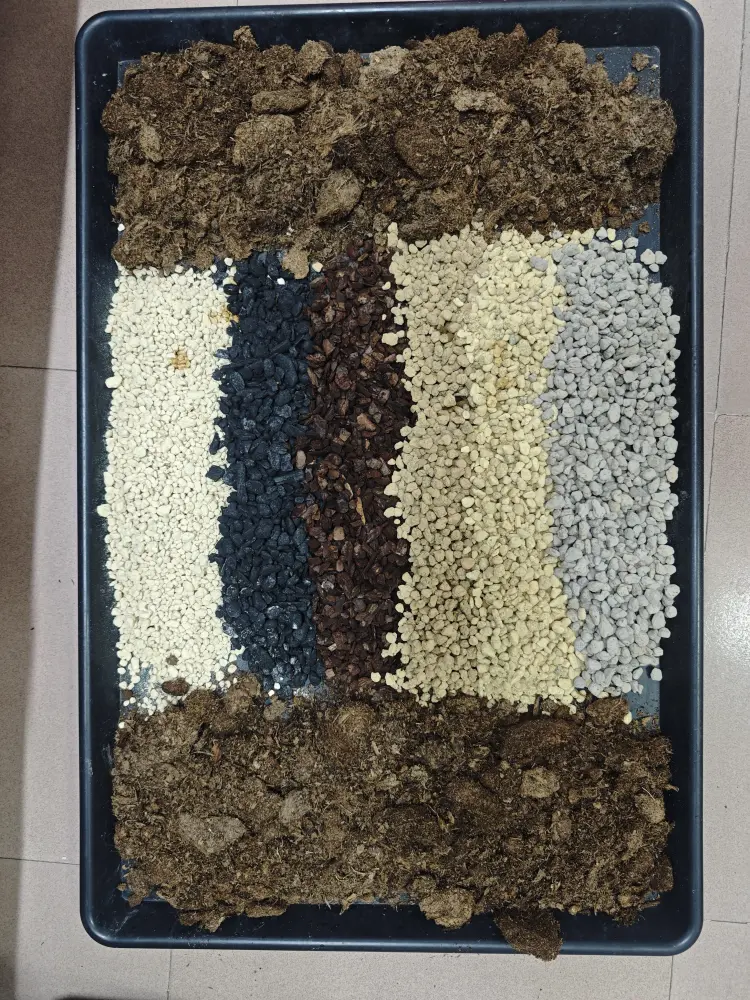 Anthurium soil mix ingredients laid out separately without coconut chips, including peat-based material, bark, perlite, pumice, and charcoal