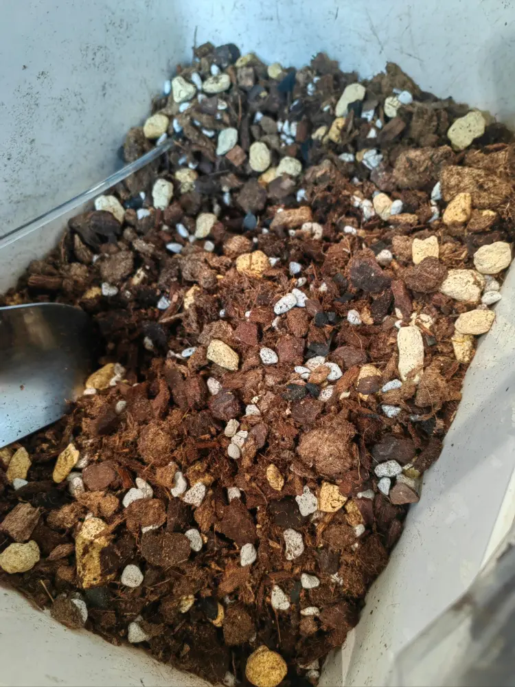 Close-up of a carefully mixed Anthurium soil blend with bark, pumice, perlite, charcoal, and evenly sized organic particles