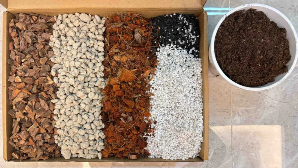 Best Soil for Anthurium: 3 Mix Approaches That Actually Work Indoors