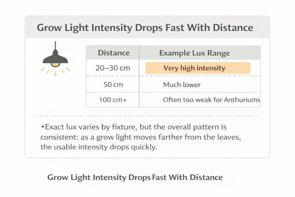 Infographic showing how grow light intensity becomes much weaker as the fixture moves farther from the plant