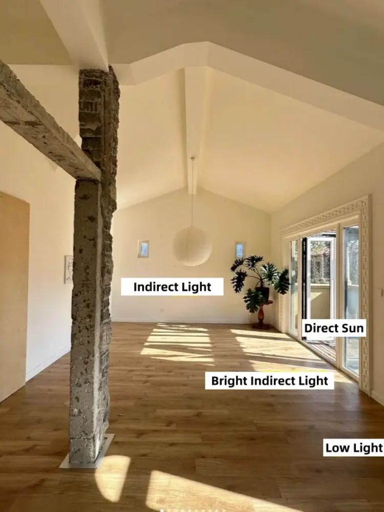 Room diagram labeled with indoor plant light zones including direct sun, bright indirect light, indirect light, and low light