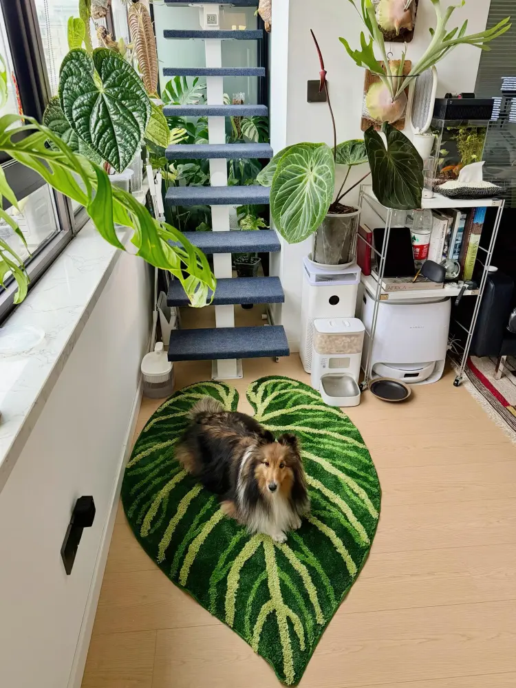 Dog lying on a leaf-shaped rug in a bright room with anthuriums and other houseplants placed around the space